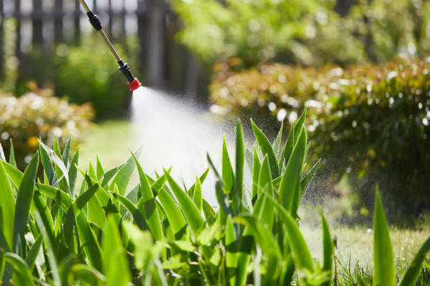 24/7 Emergency Termite Control experts in Gladeville, TN